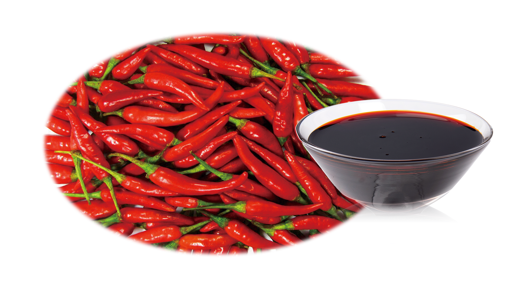 capsicum Oleoresin