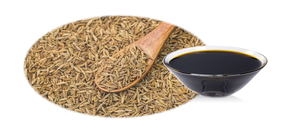 Cumin Oleoresin